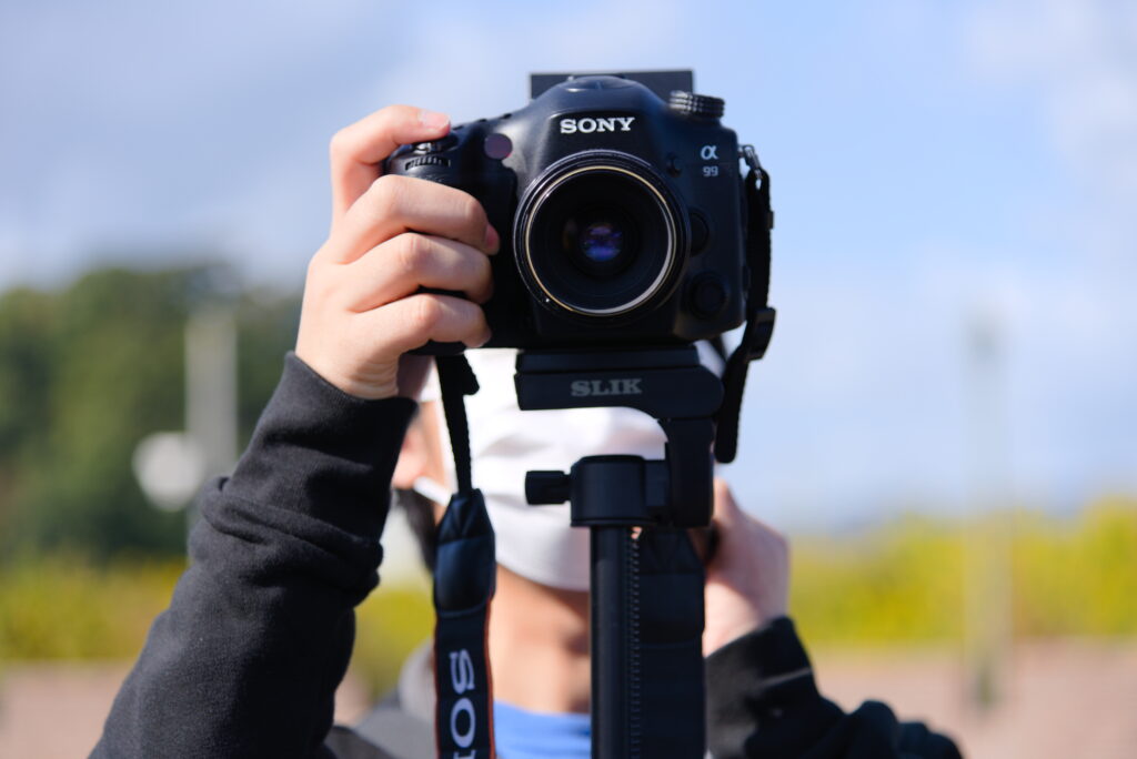 実際に撮った写真の例