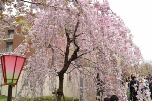 非モテの劣等感に悩むきみへ
